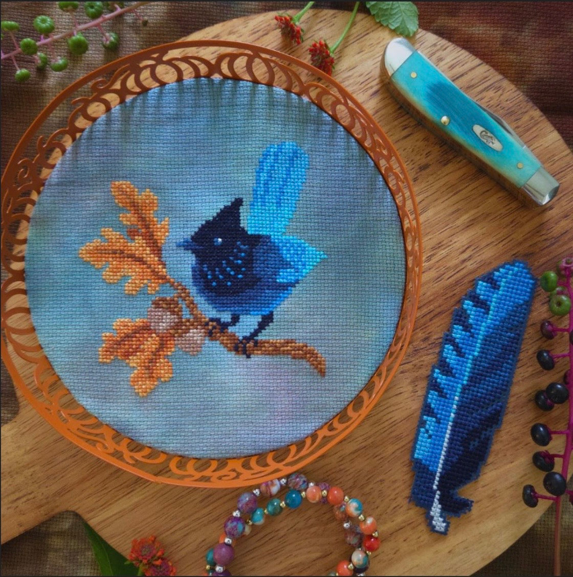 Steller’s Jay pattern by BAD Stitch