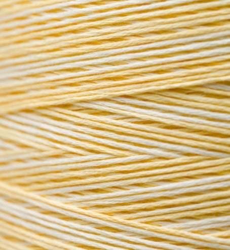 Weeks Dye Works Art- Bash Handyed Floss