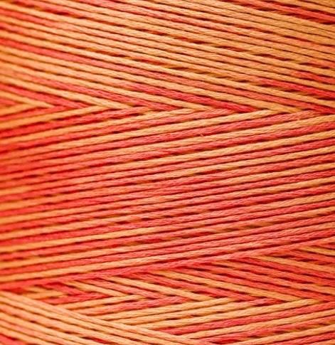 Weeks Dye Works Art- Bash Handyed Floss