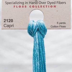 Weeks Dye Works Cant - Catt Hand Dyed Cotton Floss