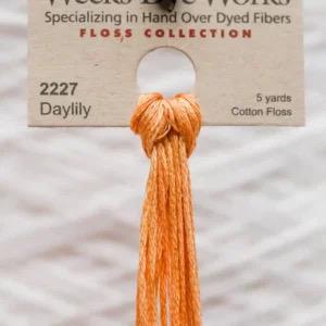 Weeks Dye Works Cyc - Dri Hand Dyed Floss
